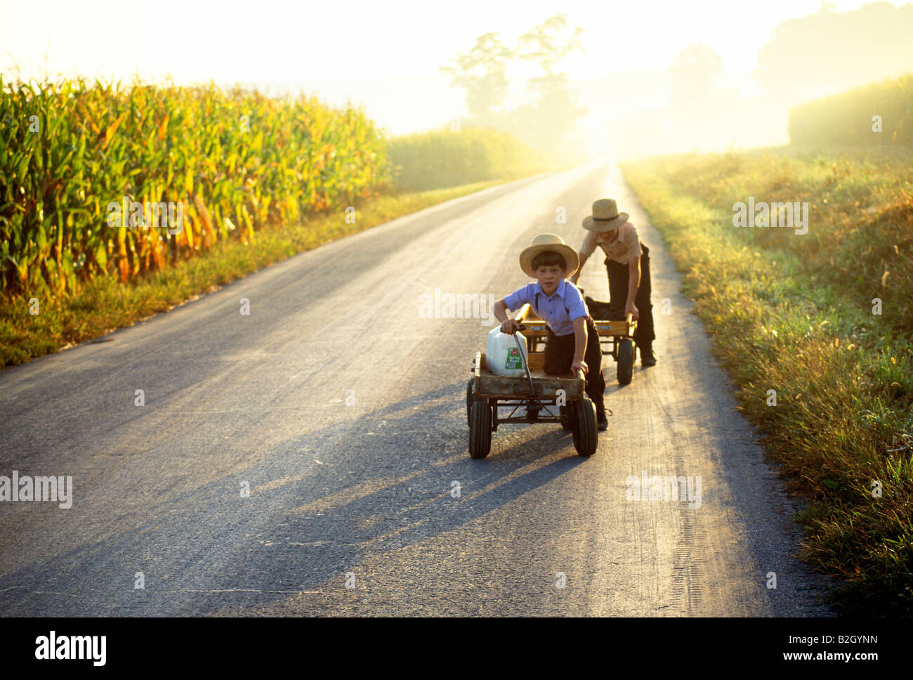 Two Amish boys in traditional plain clothing pushing wagons with fresh milk down a rural country lane, Lancaster Co., Pennsylvan Stock Photo