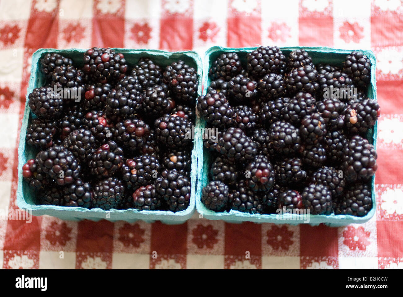 2 pints of raspberries Stock Photo Alamy