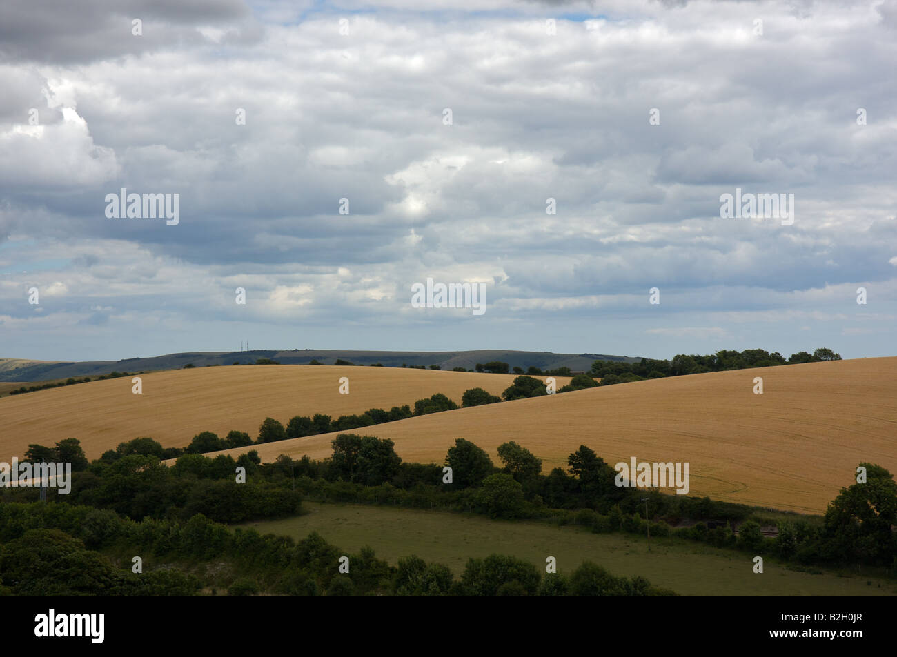 Rolling hills near Seven Sisters, United Kingdom Stock Photo Alamy