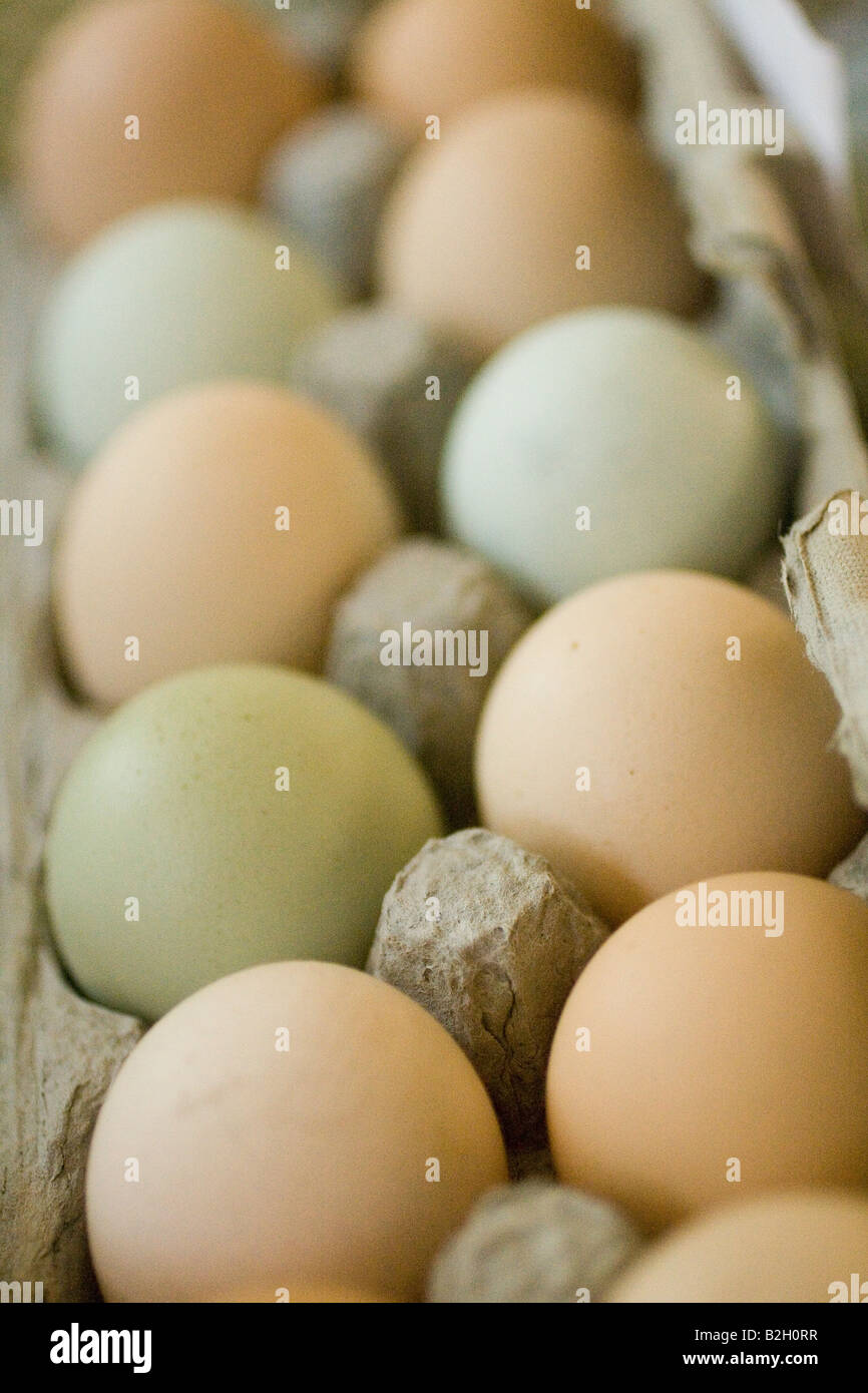 Fresh Eggs at the Headhouse Market in Philadelphia PA Stock Photo
