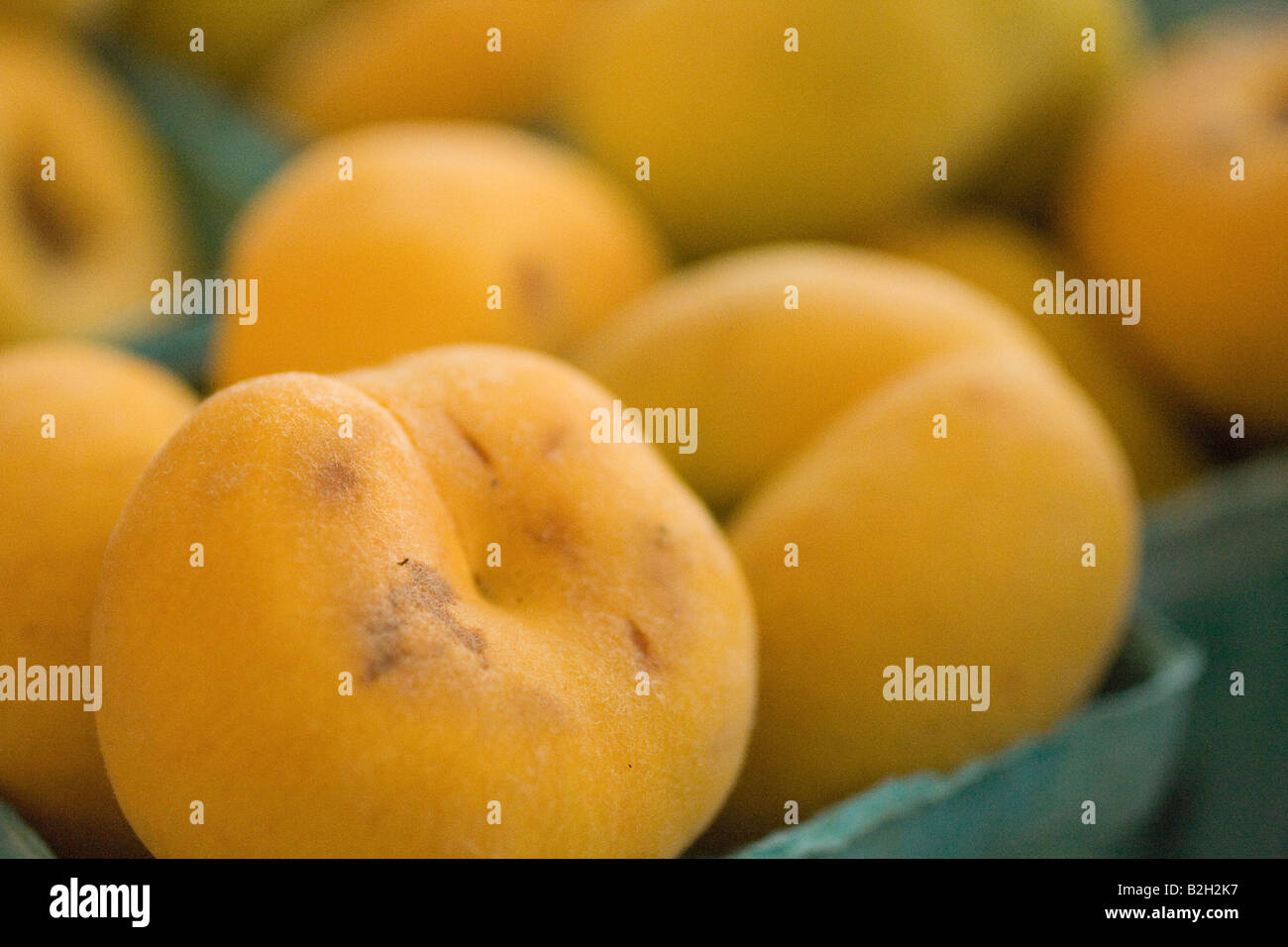 Apricots at the Headhouse Market in Philadelphia PA Stock Photo Alamy