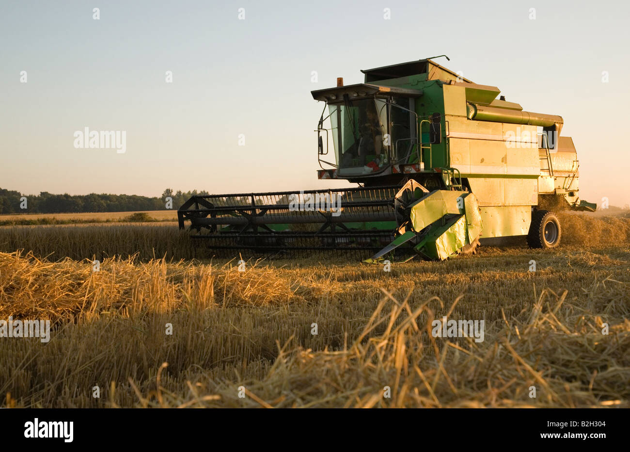 A combine Harvester cutting Barley late into the evening Stock Photo