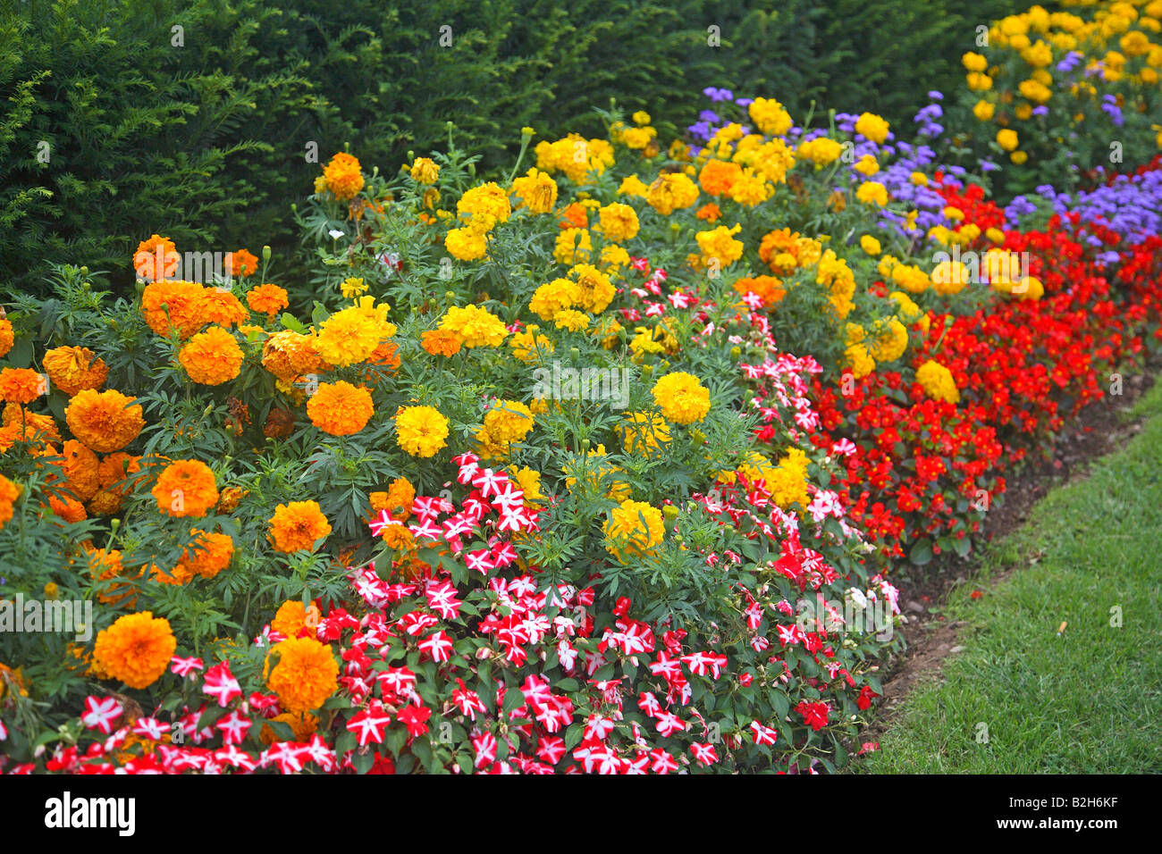 A flower display in Trier, Germany Stock Photo Alamy