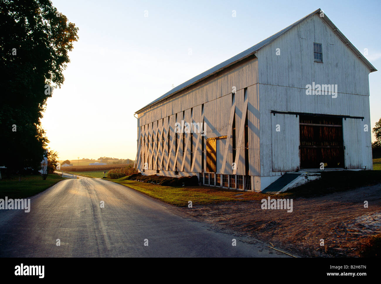 Amish barn with the side panels open to aid in the drying of tobacco crop  Stock Photo