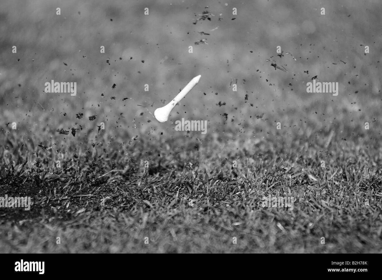 A golf tee in flight after a perfect drive. The grass and mud fly through the air, the tee, and moment, frozen forever in tîme Stock Photo
