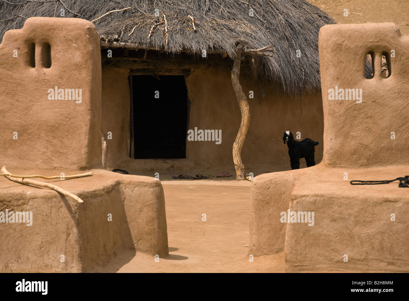 A classic MUD HOUSE with a GOAT in the village in the THAR DESERT near JAISALMER RAJASTHAN INDIA Stock Photo