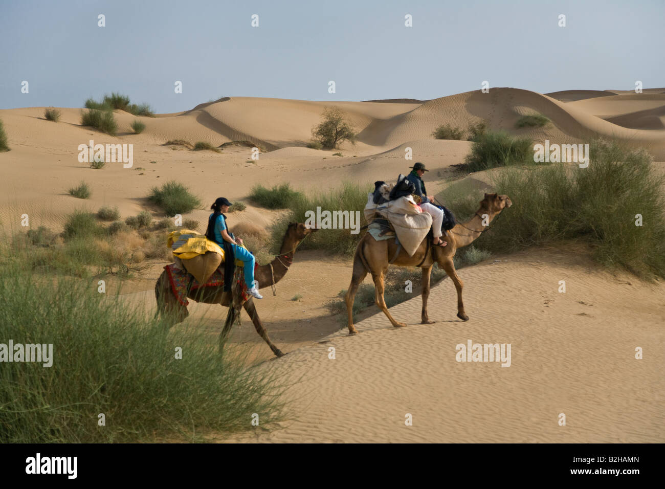 Travelers ride CAMELS through SAND DUNES in the THAR DESERT near ...