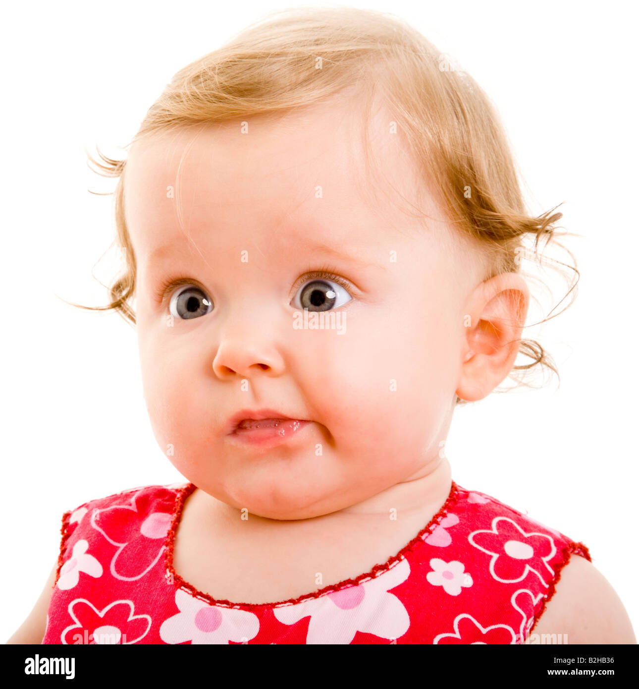 Infant saucer cheap