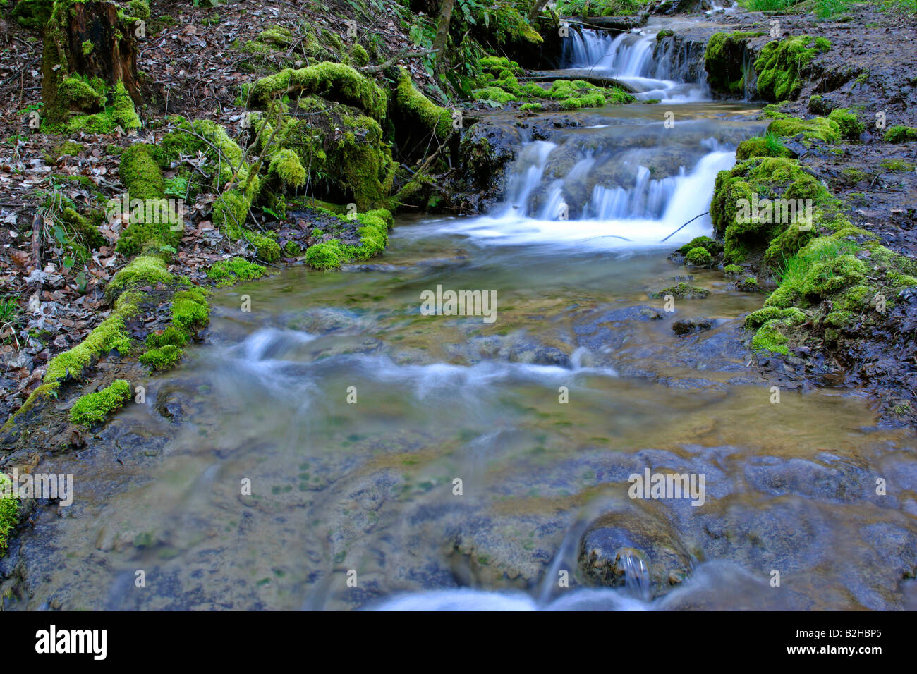 mountain stream autumn blurrend water Natur scenery brook creek Stock Photo
