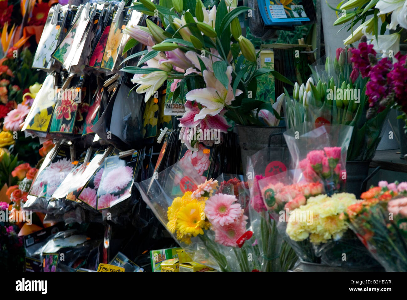 las ramblas selling flowers barcelona Stock Photo