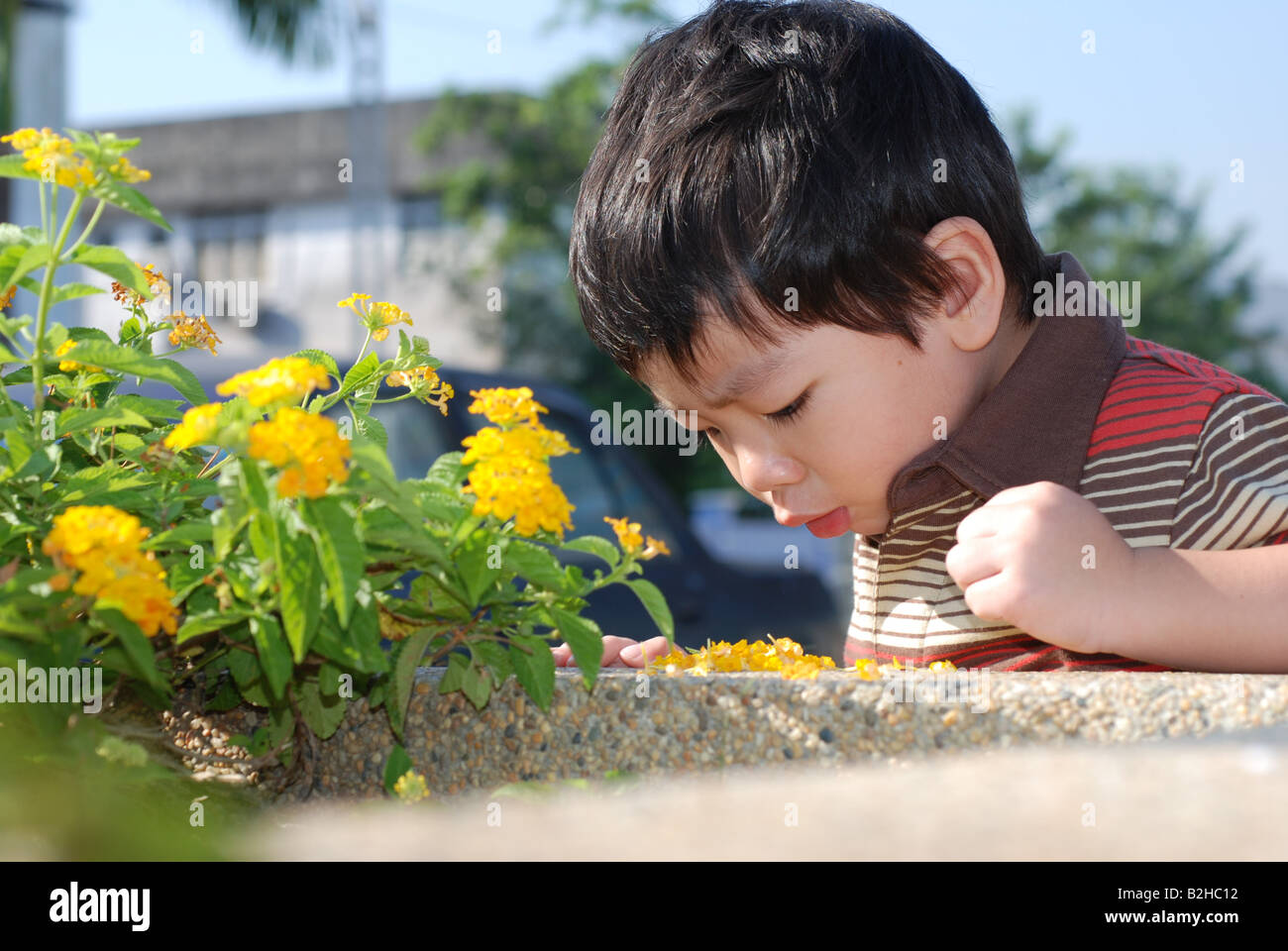 Child looking at flower hi-res stock photography and images - Alamy
