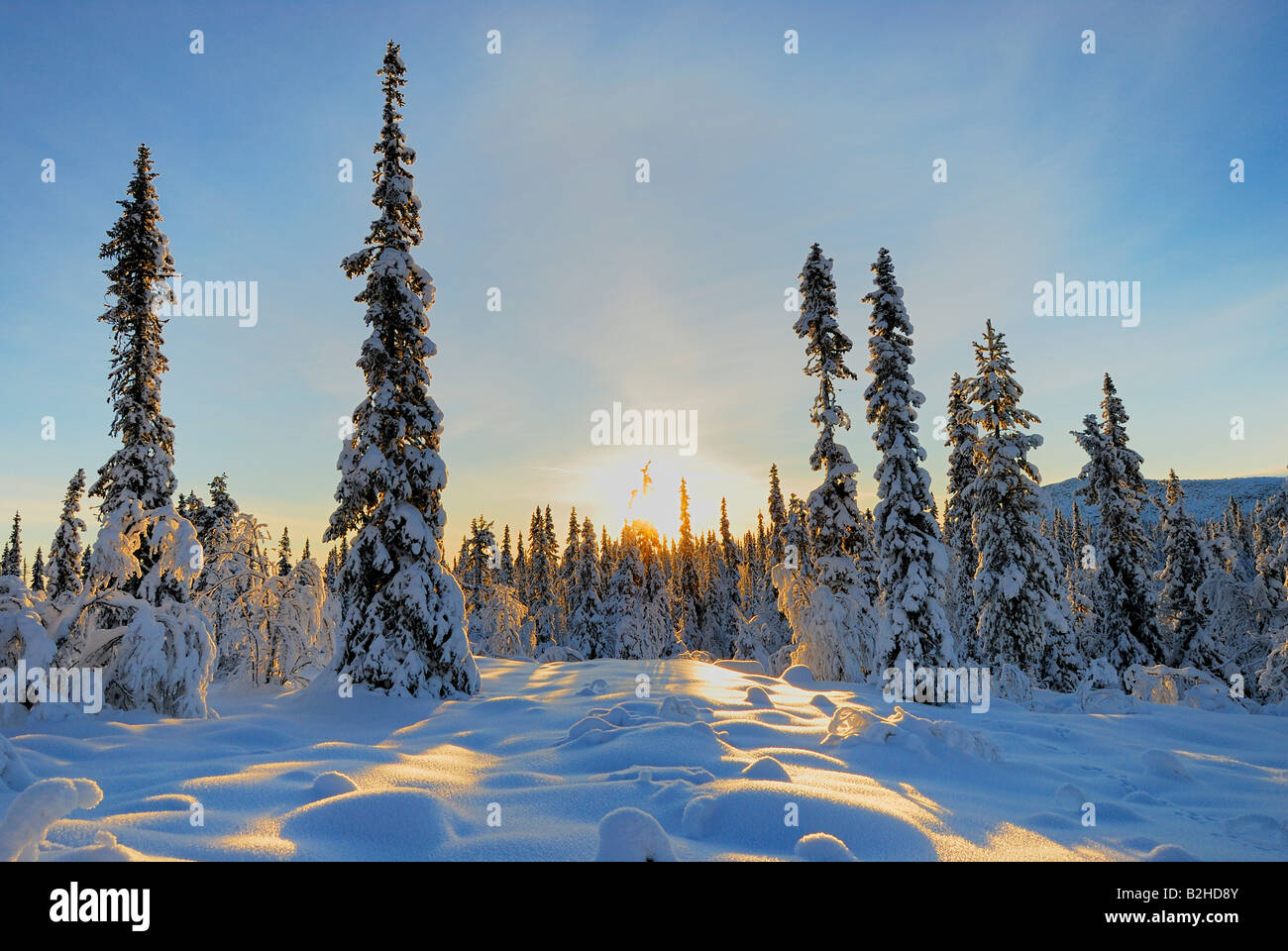 wintry landscape scenery snow covered stubba nature reservatoin Laponia lapland norrbotten sweden scandinavia europe winter Stock Photo