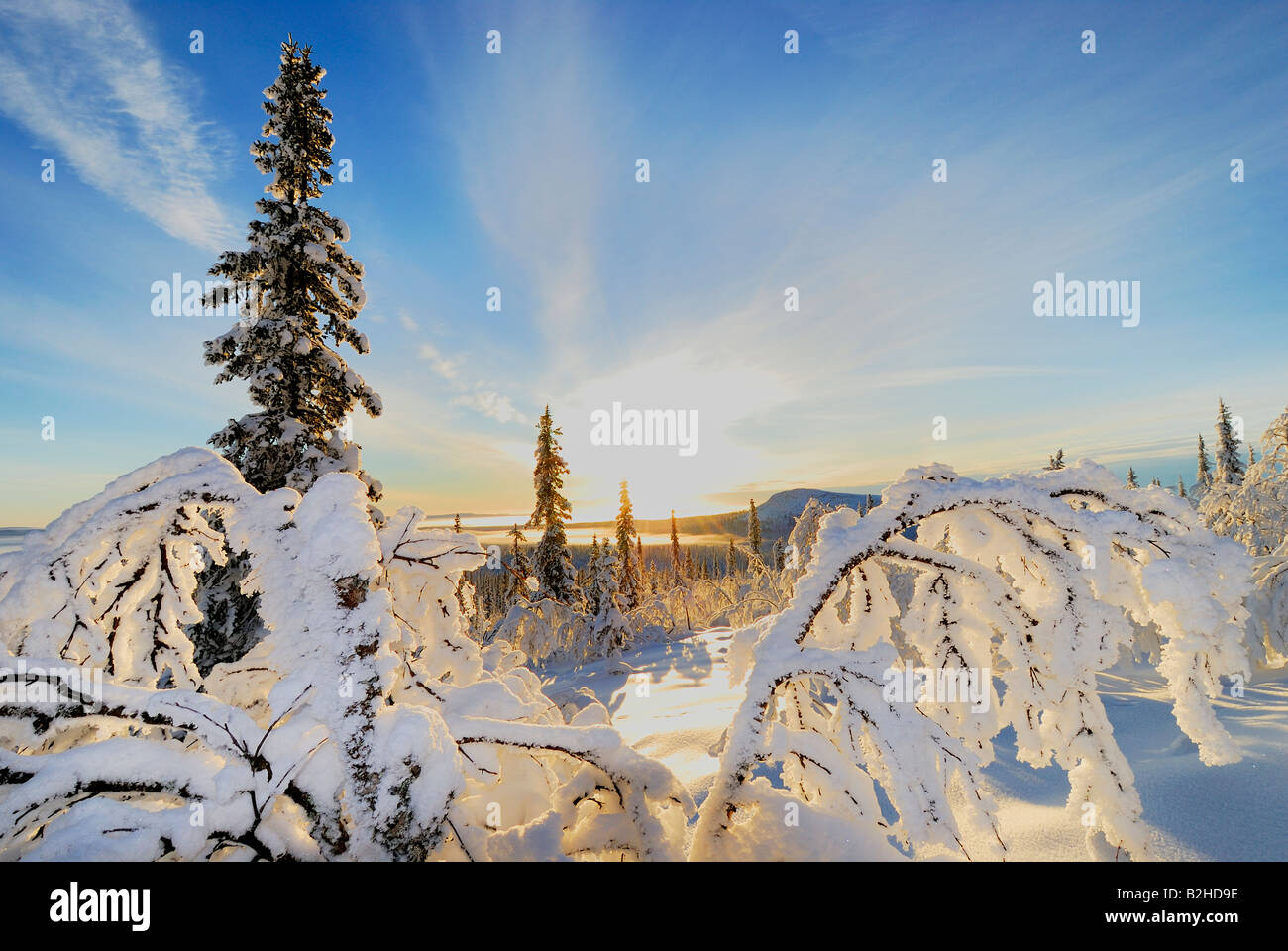 wintry landscape scenery snow covered stubba nature reservatoin Laponia lapland norrbotten sweden scandinavia europe winter Stock Photo