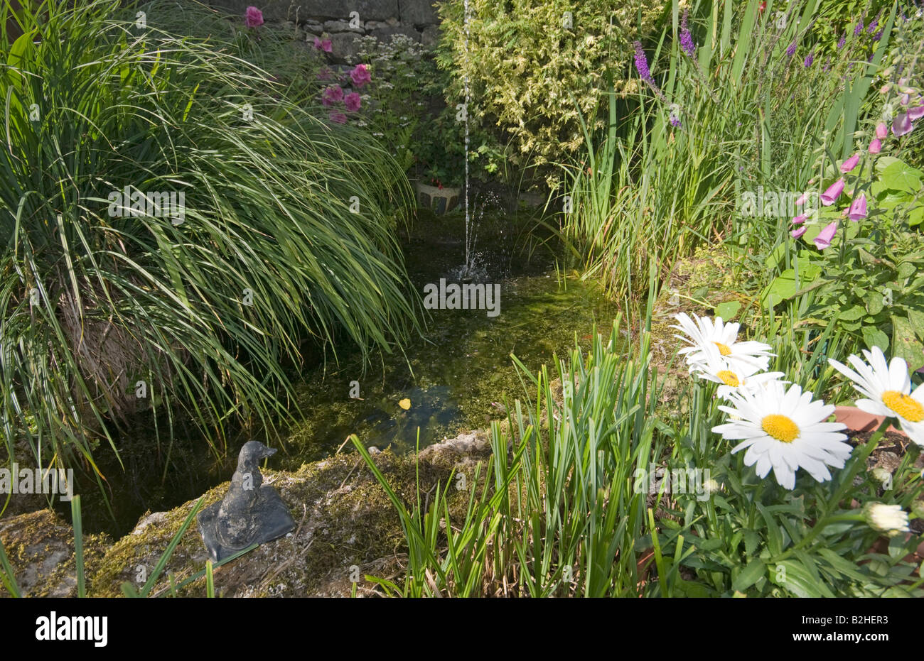 water fountain in an English garden Stock Photo Alamy