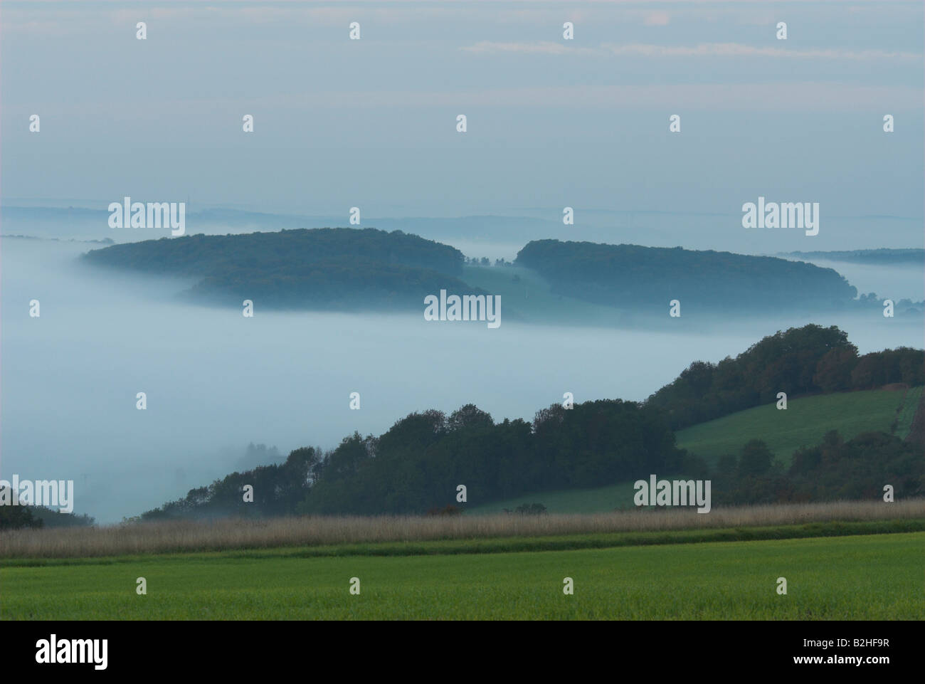 hills morning mist bliesgau germany landscape scenery morning mood Stock Photo