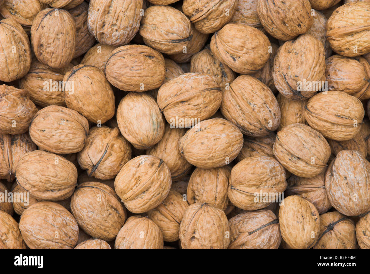 stacked juglans regia walnut walnuts nuts fruits walnut walnuss walnut