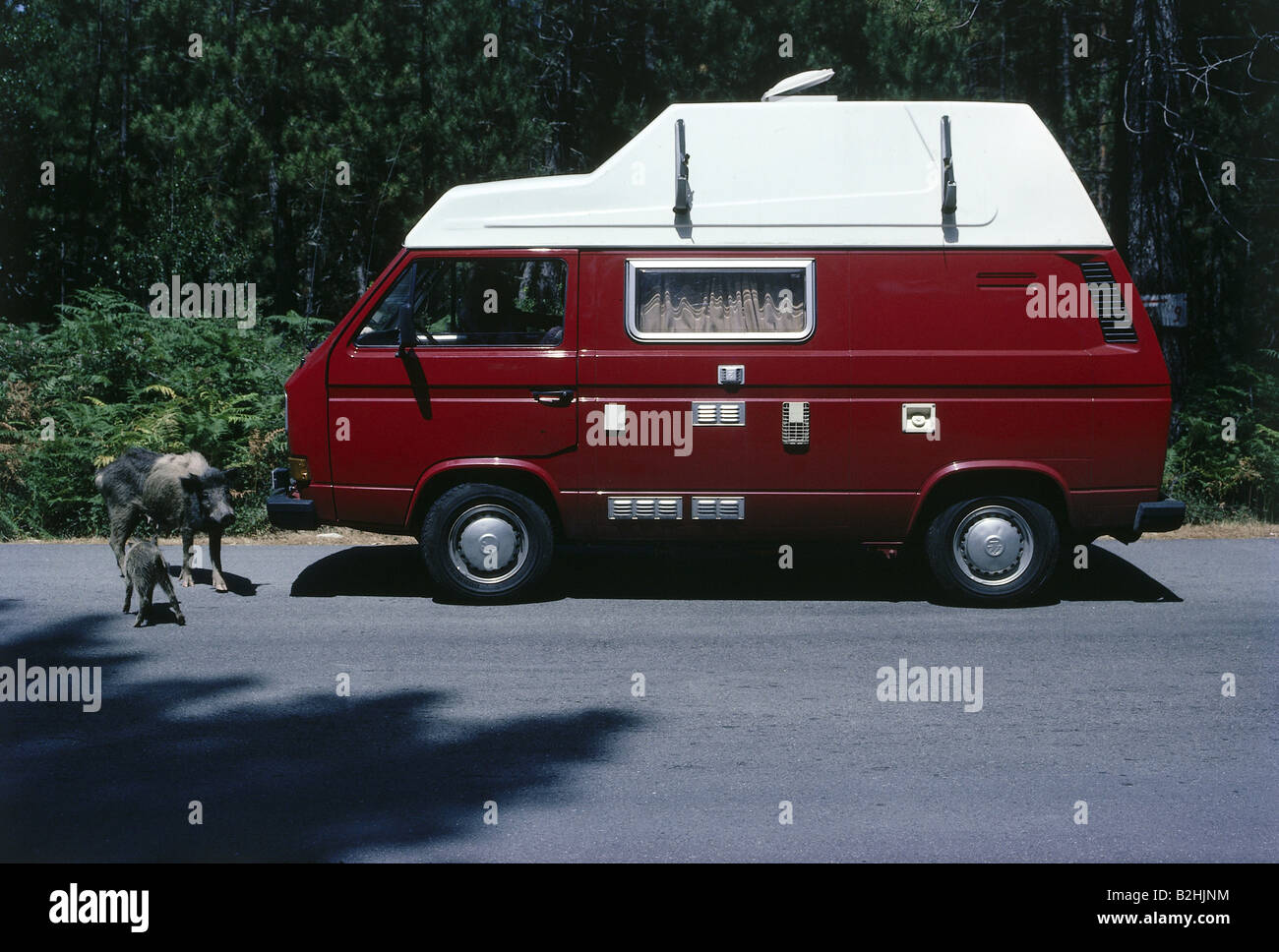 Scharbeutz, Germany, Parkkralle to a VW Bus T3 Stock Photo - Alamy
