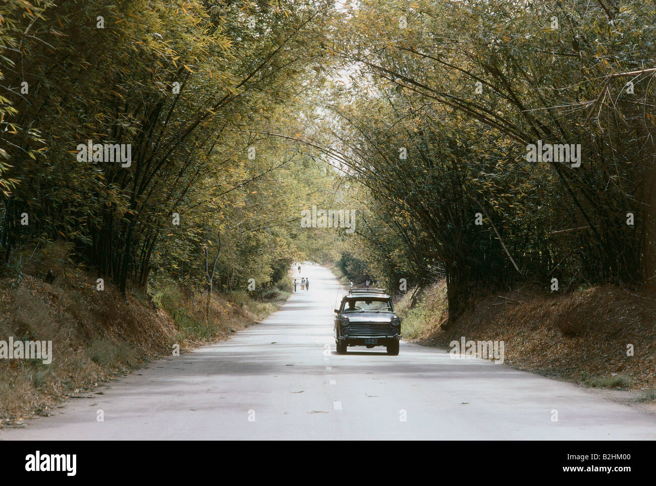 geography / travel, Jamaica, transport / transportation, streets