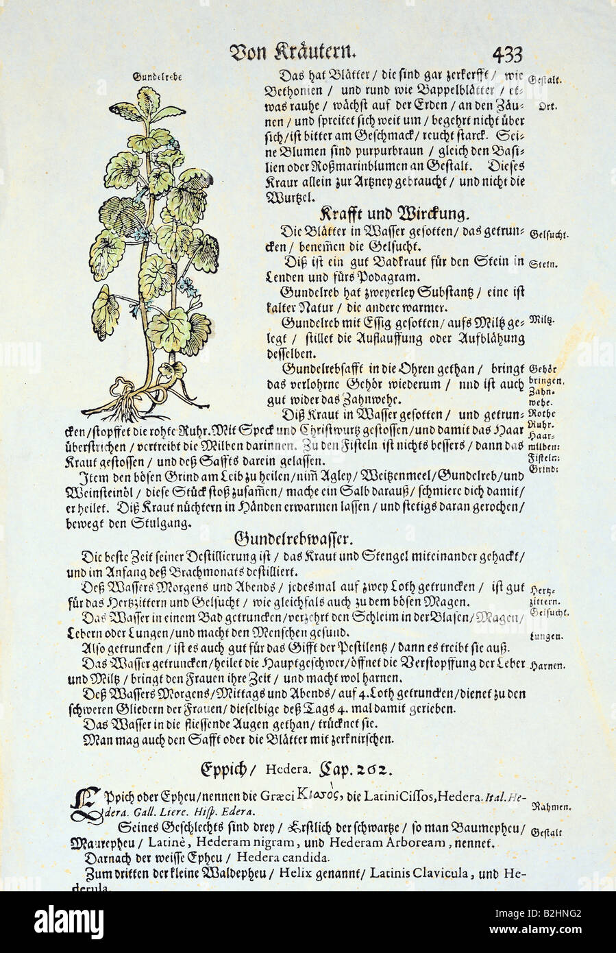 Ivy woodcut hi-res stock photography and images - Alamy