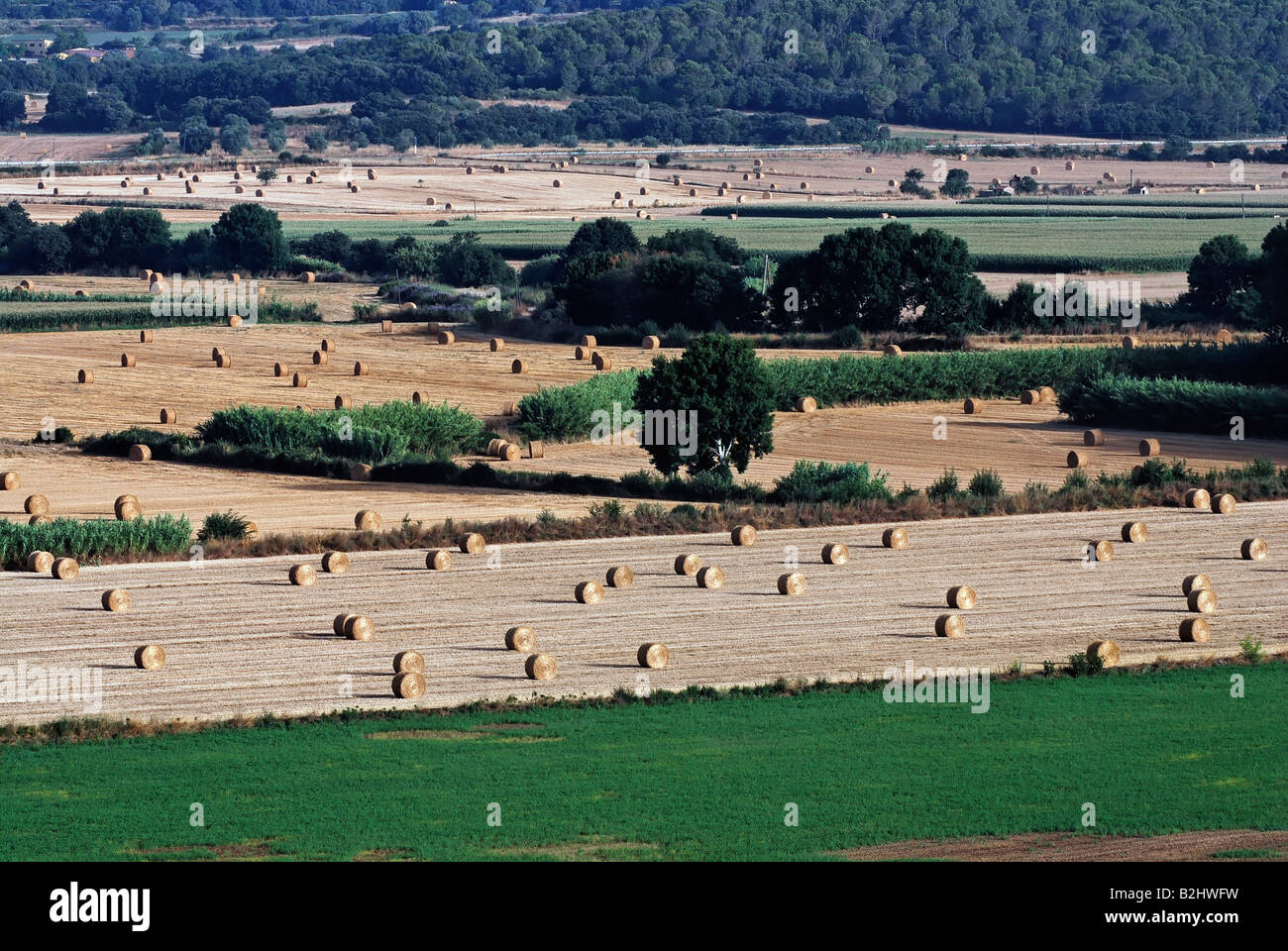 Spain Catalonia agricultural fields Stock Photo