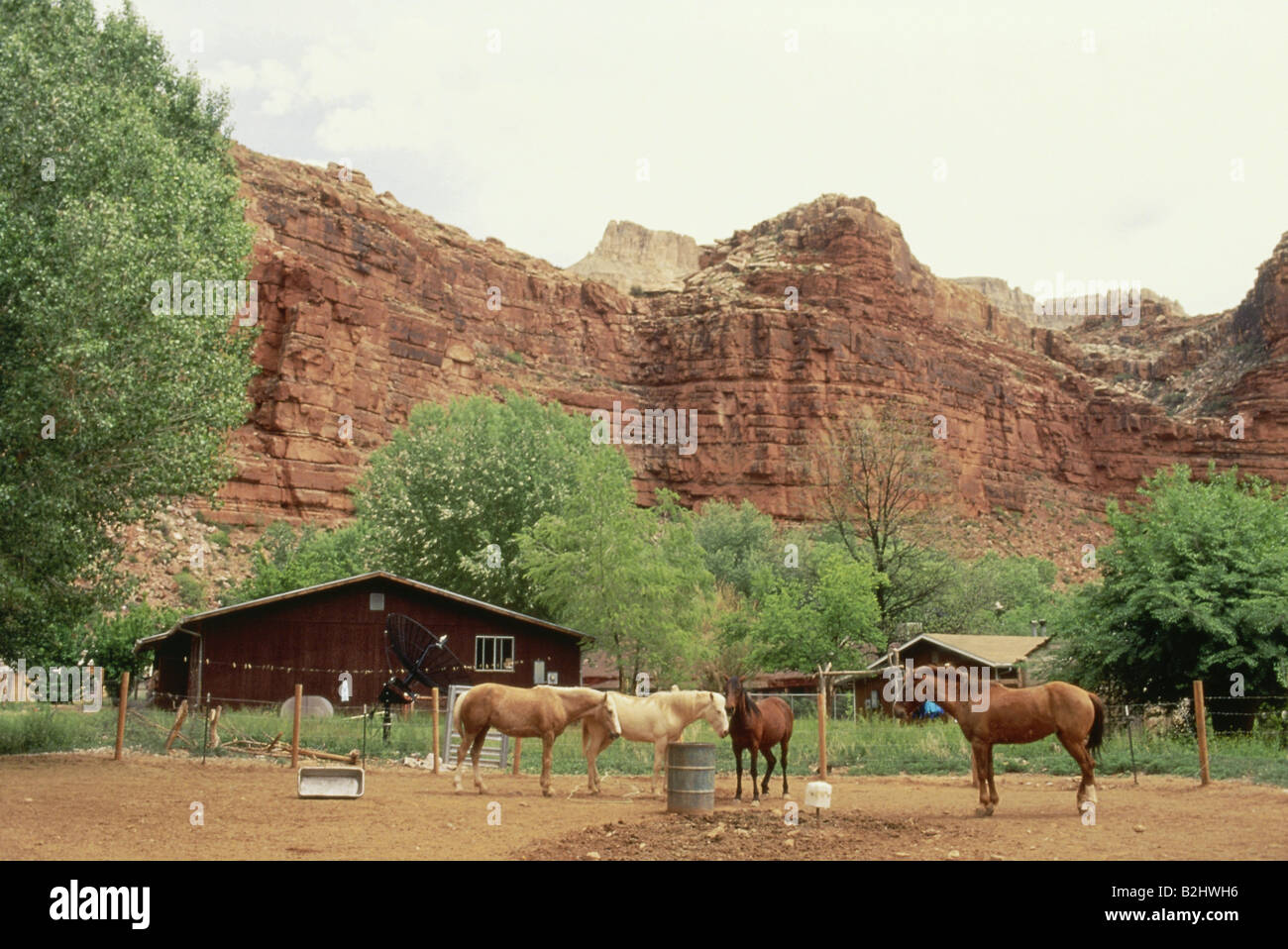 geography / travel, Arizona, Supai Village, Havasupai Indian