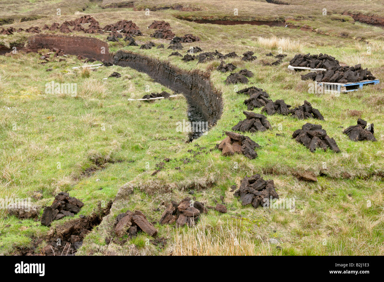 cut peat bog dig peat fenland brocken blocksberg harz national park saxony  anhalt germany Stock Photo - Alamy