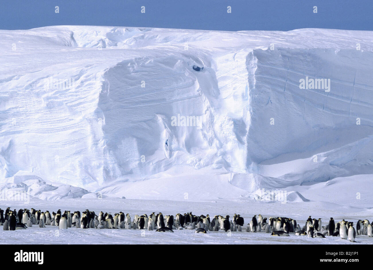 Почему в антарктиде холодно
