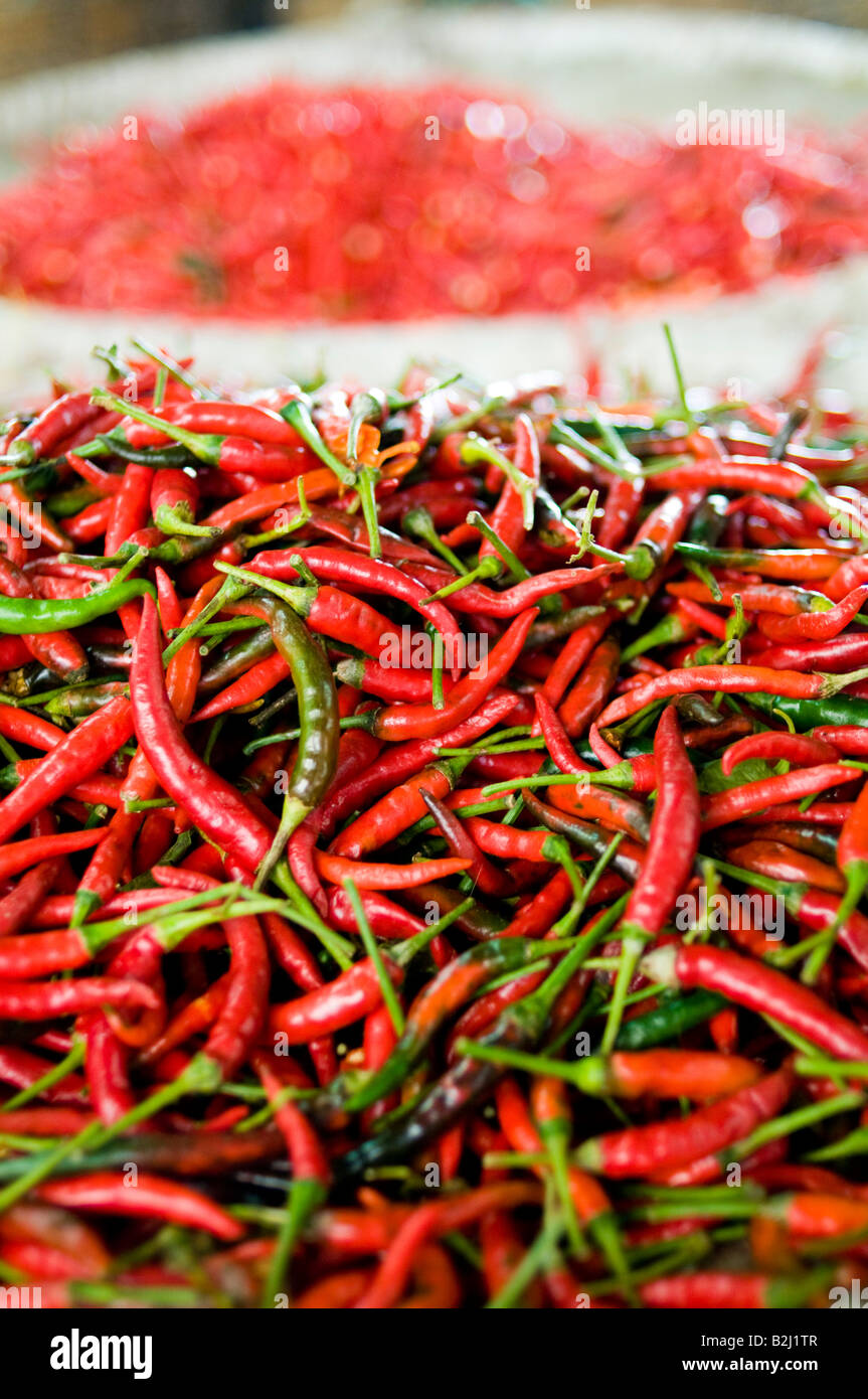 Thailand chillies hires stock photography and images Alamy