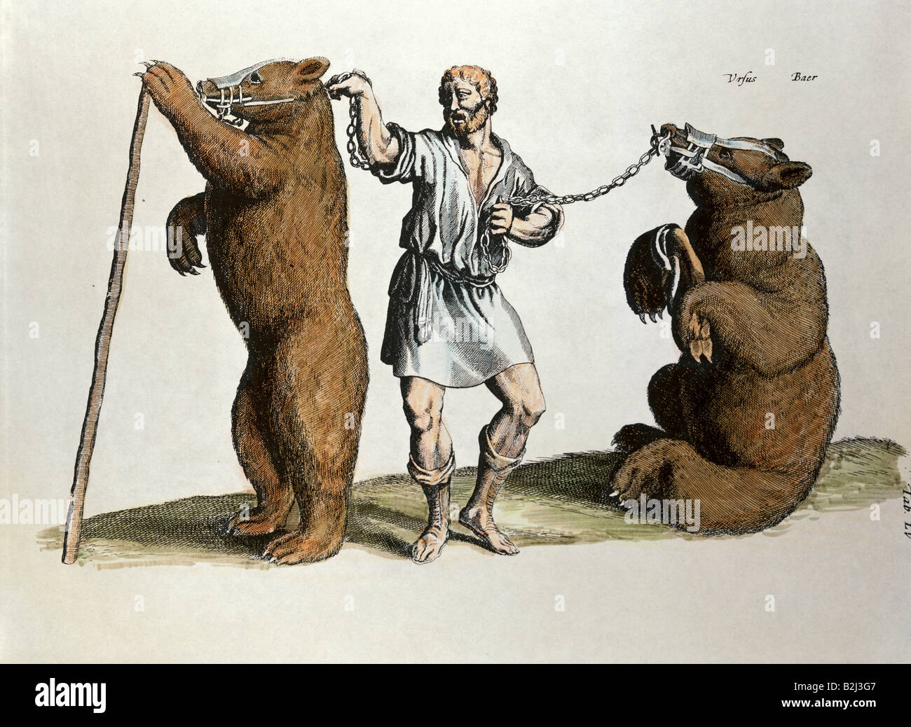 circus, animal training, bear trainer, engraving, coloured, by Matthaeus Merian (1593 - 1650), from 'Historiae naturalis de Quatrupedibus libri', Frankfurt on the Main, Germany, 1650, Artist's Copyright has not to be cleared Stock Photo