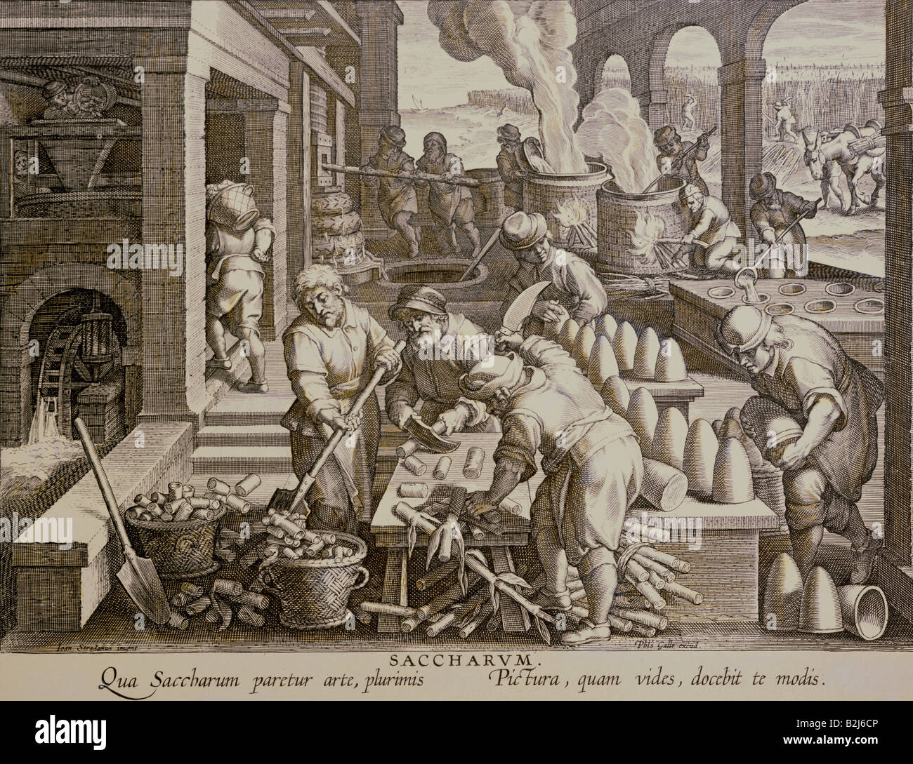 food, sugar, production, 'Saccharum' (Sugar), copper engraving, by Theodor Galle or Jan Collaert, based on Johannes Stradanus (1523-1605), from 'Nova Reperta' (New inventions), circa 1580, Artist's Copyright has not to be cleared Stock Photo