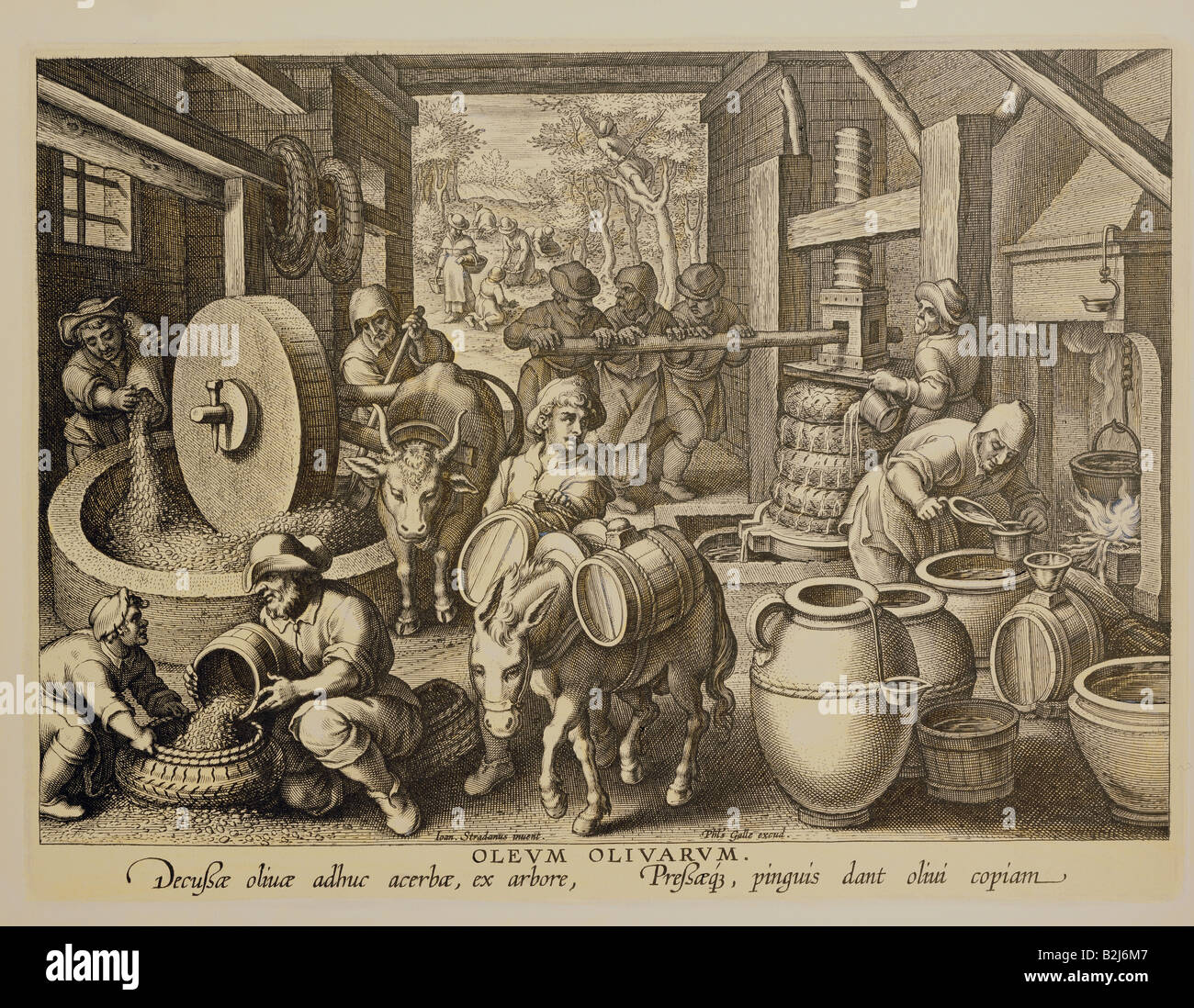 food, production, 'Oleum Olivarum' (Olive Oil), copper engraving, by Theodor Galle or Jan Collaert, based on Johannes Stradanus (1523-1605), from 'Nova Reperta' (New inventions), circa 1580, private collection, Artist's Copyright has not to be cleared Stock Photo