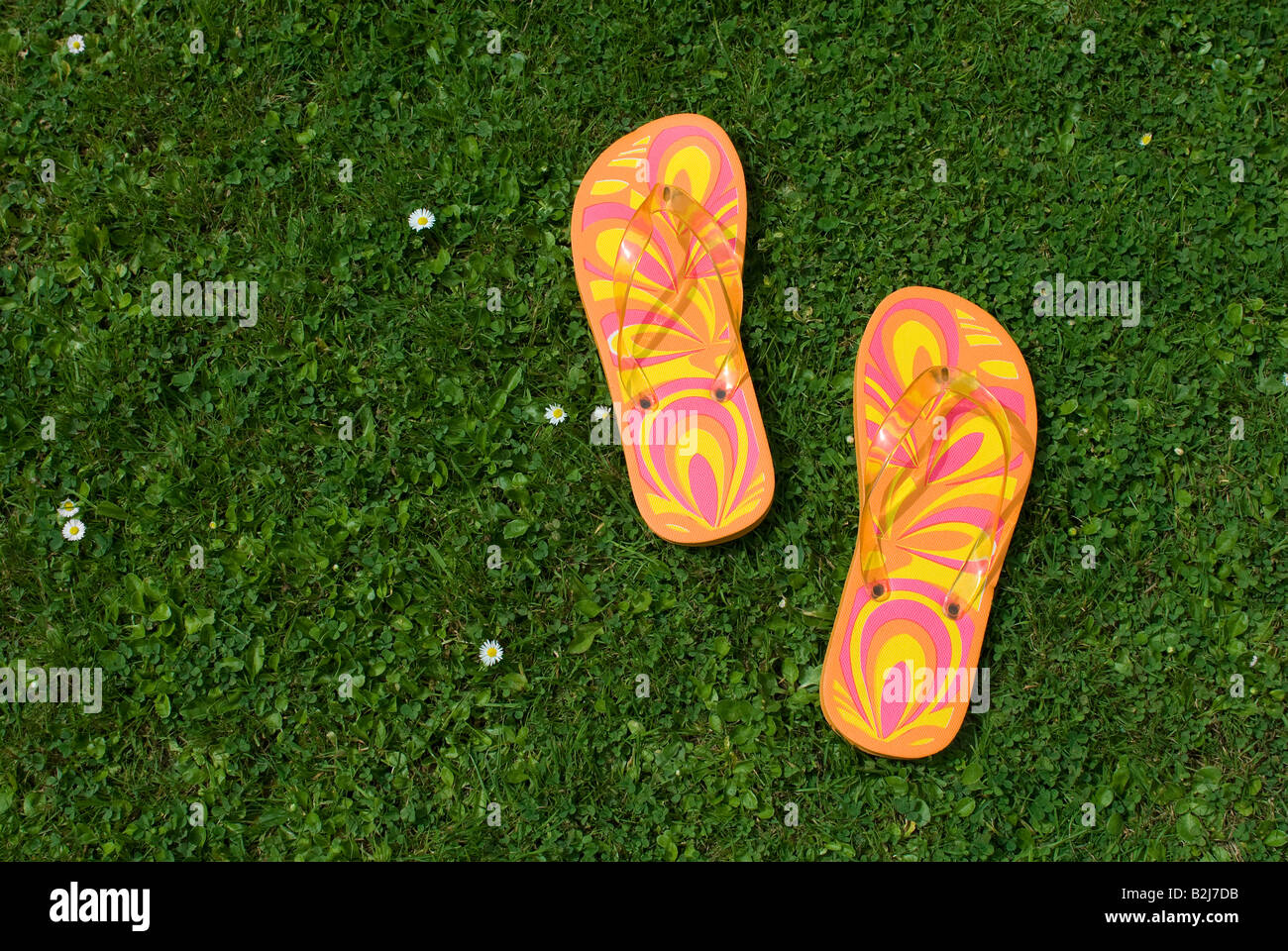 colourful flip flops on grass lawn Stock Photo