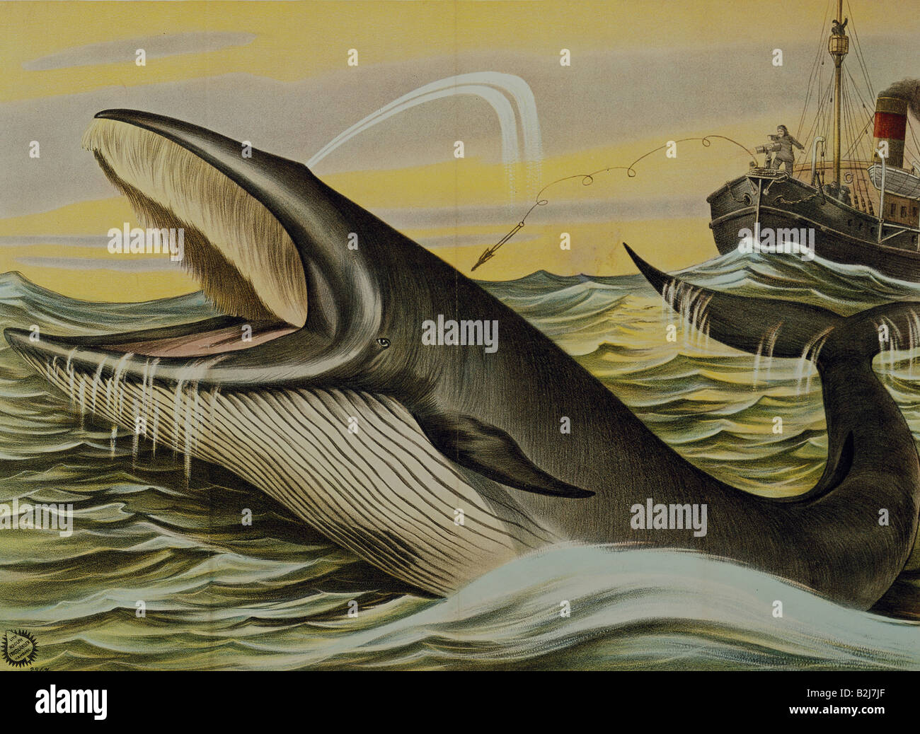 fishing, whaling, poster for the exhibition of a whale, lithograph, printed by Adolph Friedlaeder, Hamburg, 1896, Deutsches Plakatmuseum, Museem Folkwang, Essen, Stock Photo