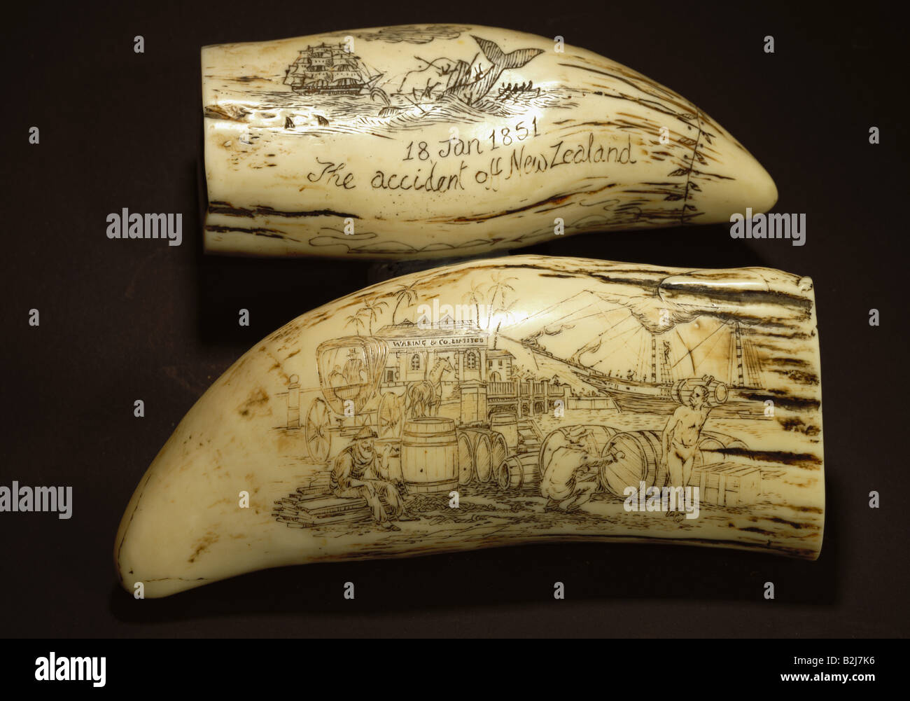 fishing, whaling, harbour and accident before New Zealand, gravure, tooth of a sperm whale, England, 18.1.1851, Stock Photo