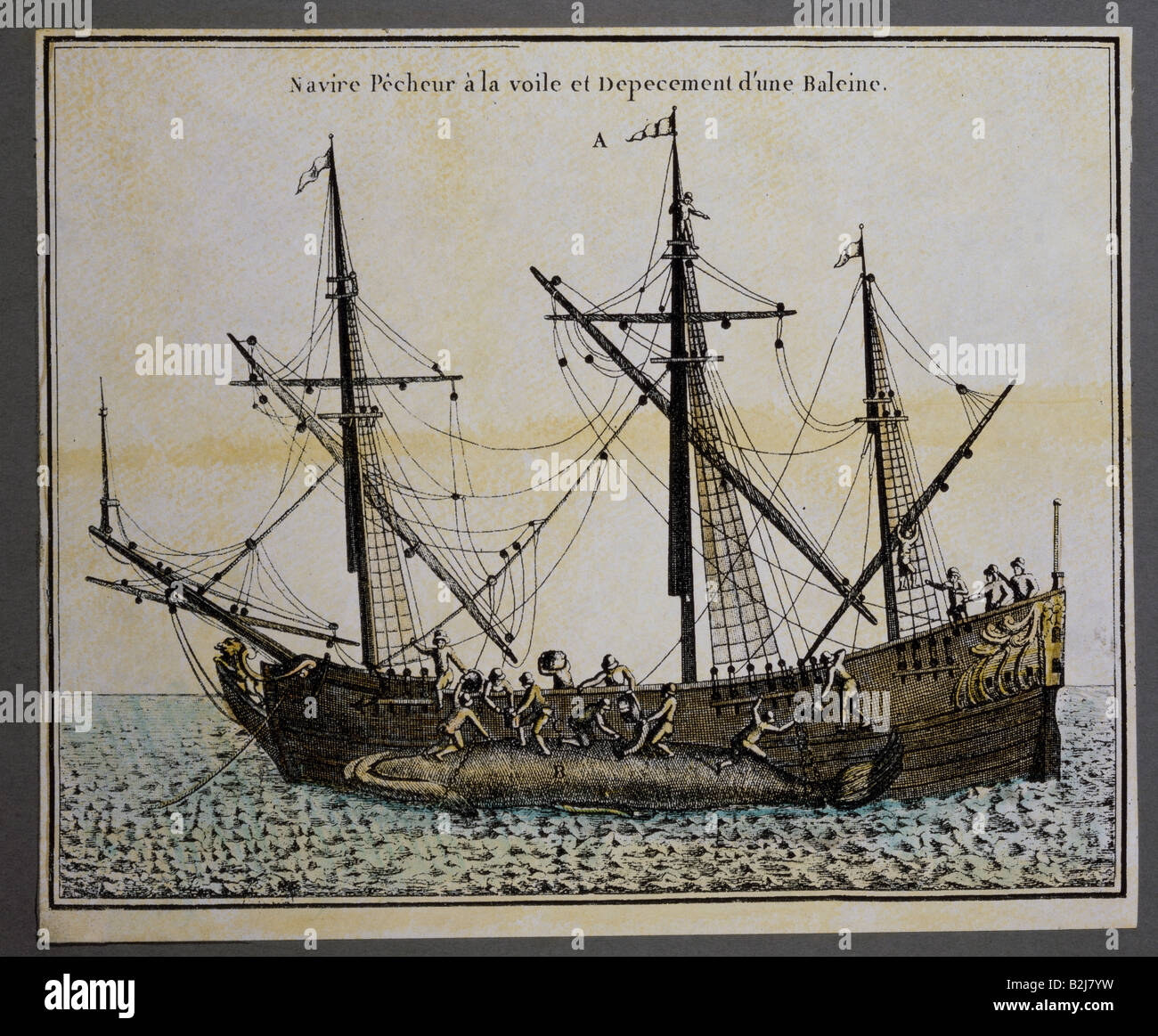 fishing, whaling, peeling a whale, copper engraving by Piquet, France