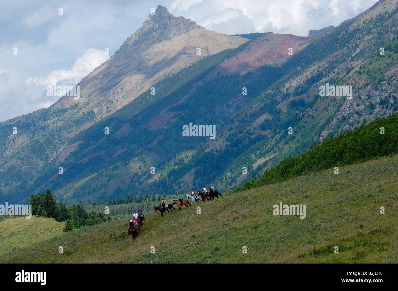 A trail ride Stock Photo - Alamy