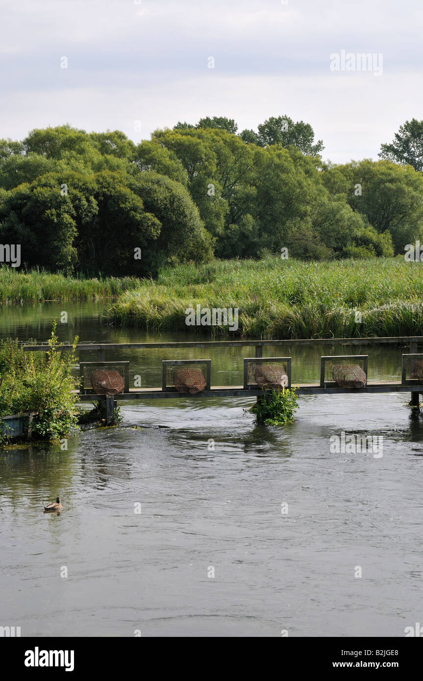 Trout fishing hampshire hires stock photography and images Alamy