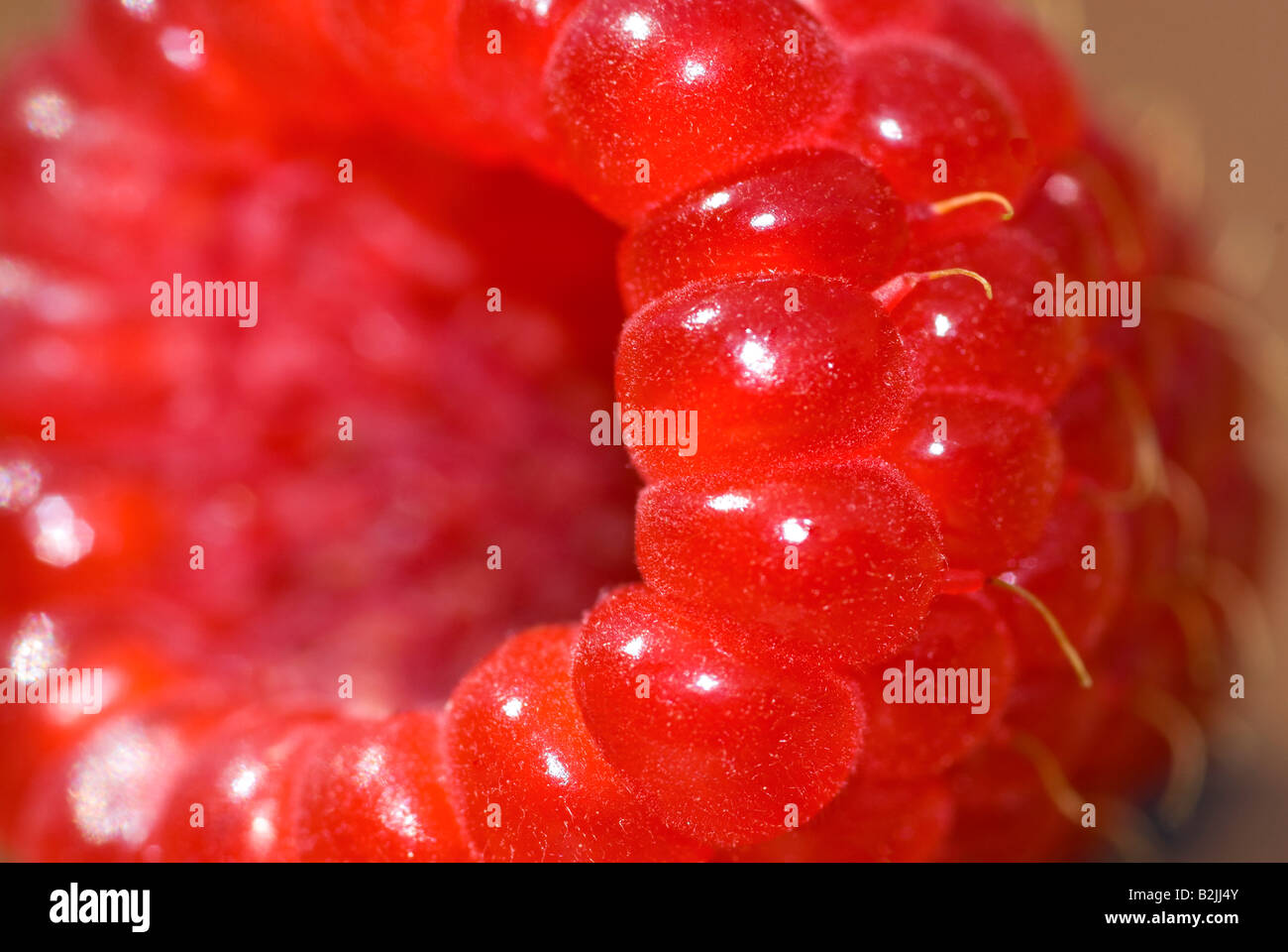 Horizontal macro close up of a single bright red raspberry Stock Photo