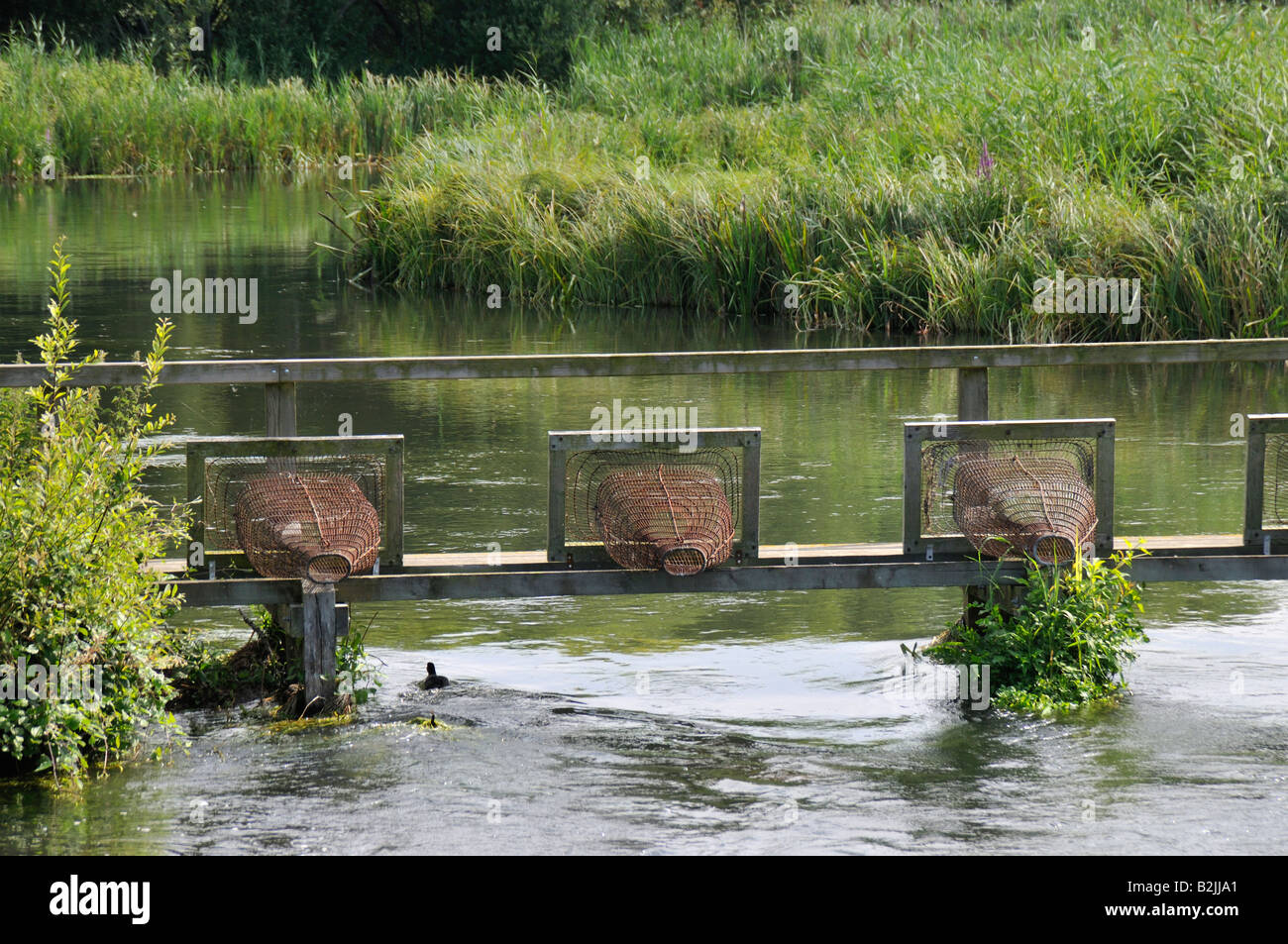 Eel traps uk hi-res stock photography and images - Alamy