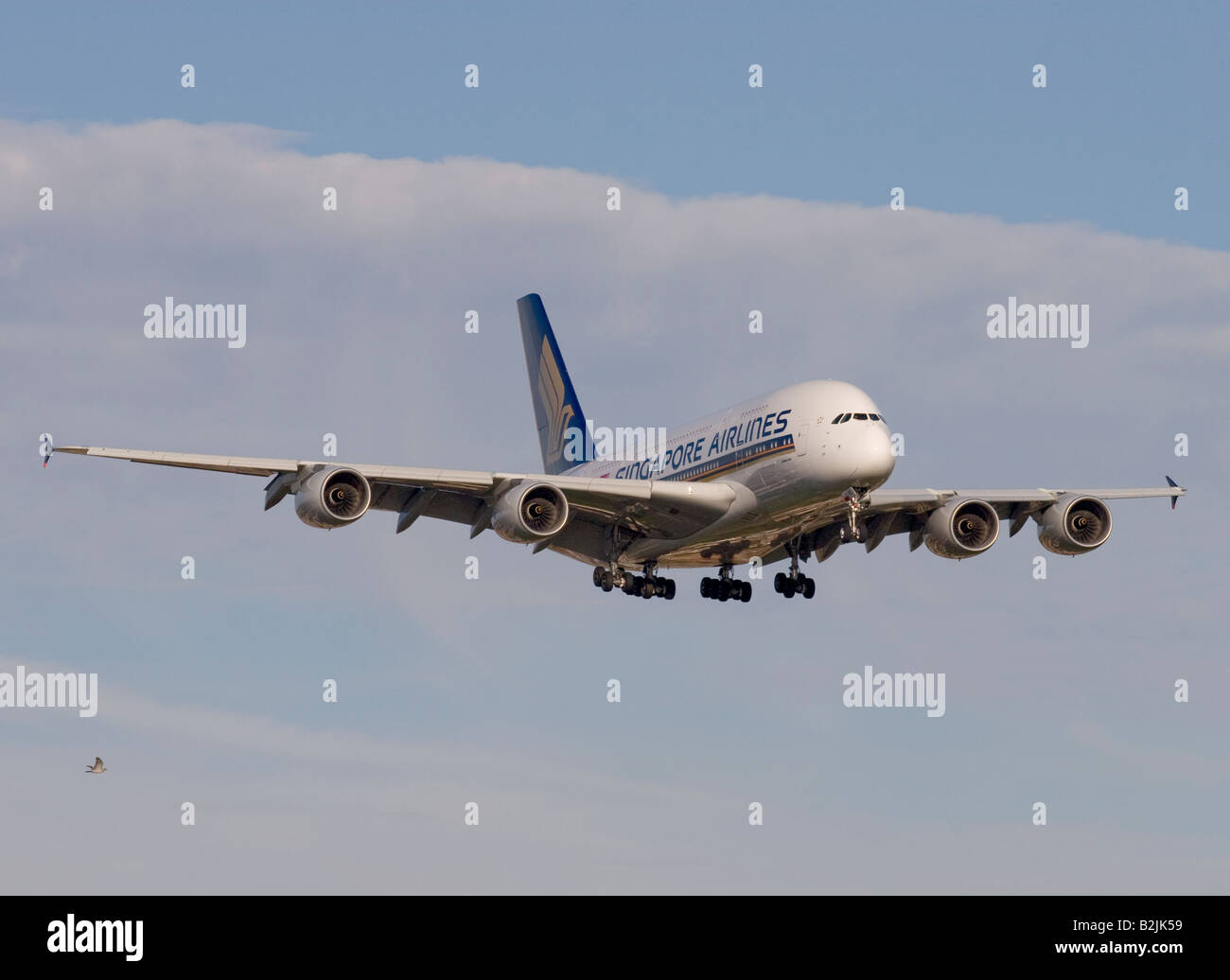 Singapore Airlines Airbus A380 841 landing at London Heathrow Stock Photo