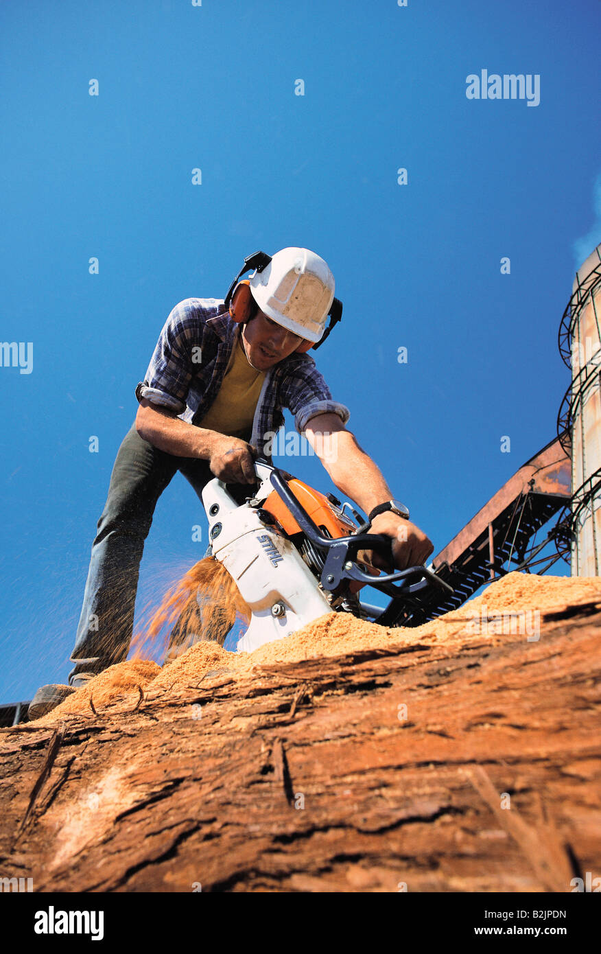 Woodcutter with chain saw Stock Photo