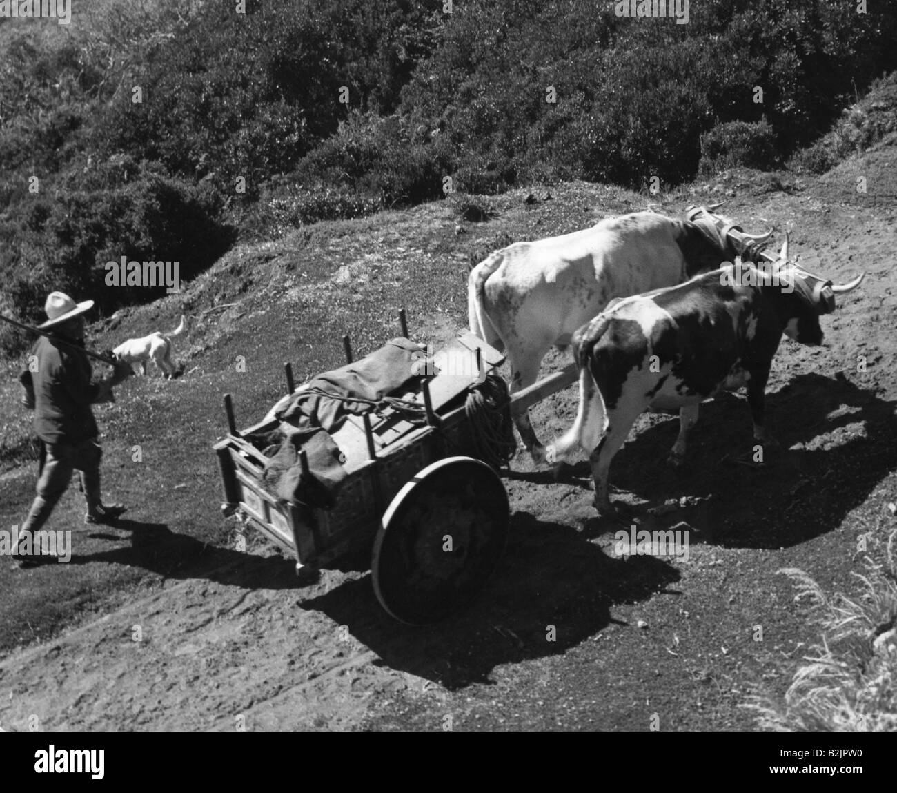 Ox cart costa rica Black and White Stock Photos & Images - Alamy