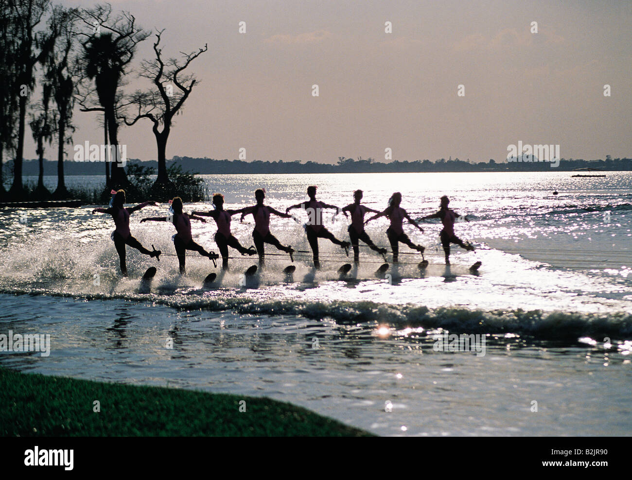 USA. Florida. Cypress Gardens. Young women water skiing team show Stock