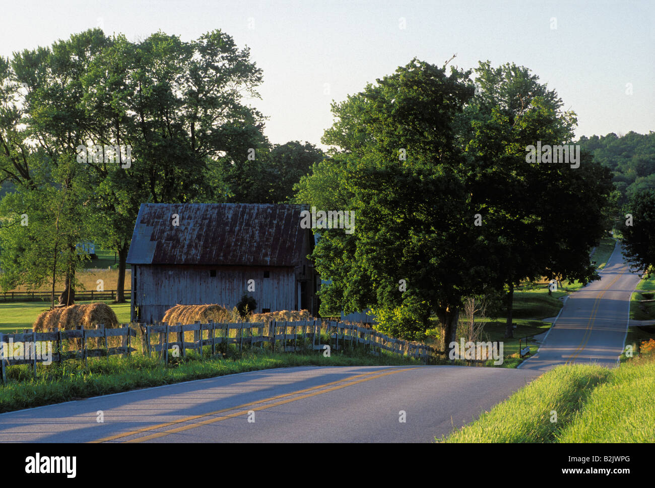 Country Road Through Rural Summer Landscape in Washington County Indiana Part of a Four Season 