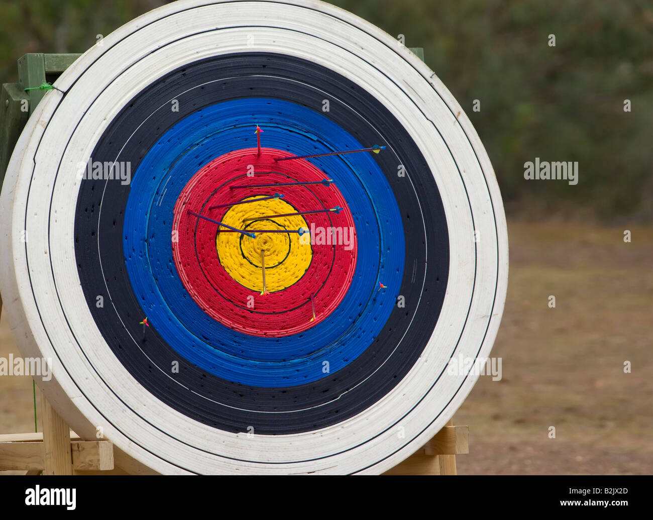 great image of a archery target full of arrows Stock Photo