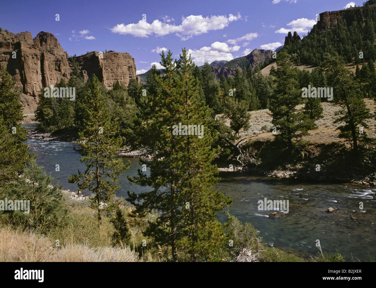 geography / travel, USA, Wyoming, landscapes, Shoshone Natural Forrest