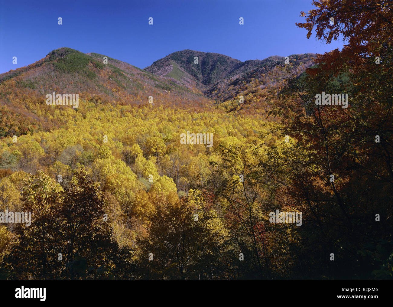 geography / travel, USA, Tennessee, Great Smoky Mountains National Park, Mount Le Conte