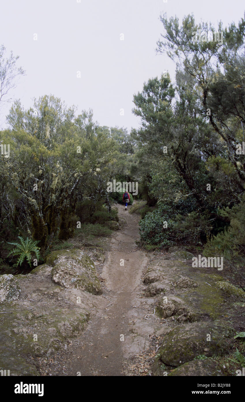 Parque nacional del bosque hi-res stock photography and images - Alamy