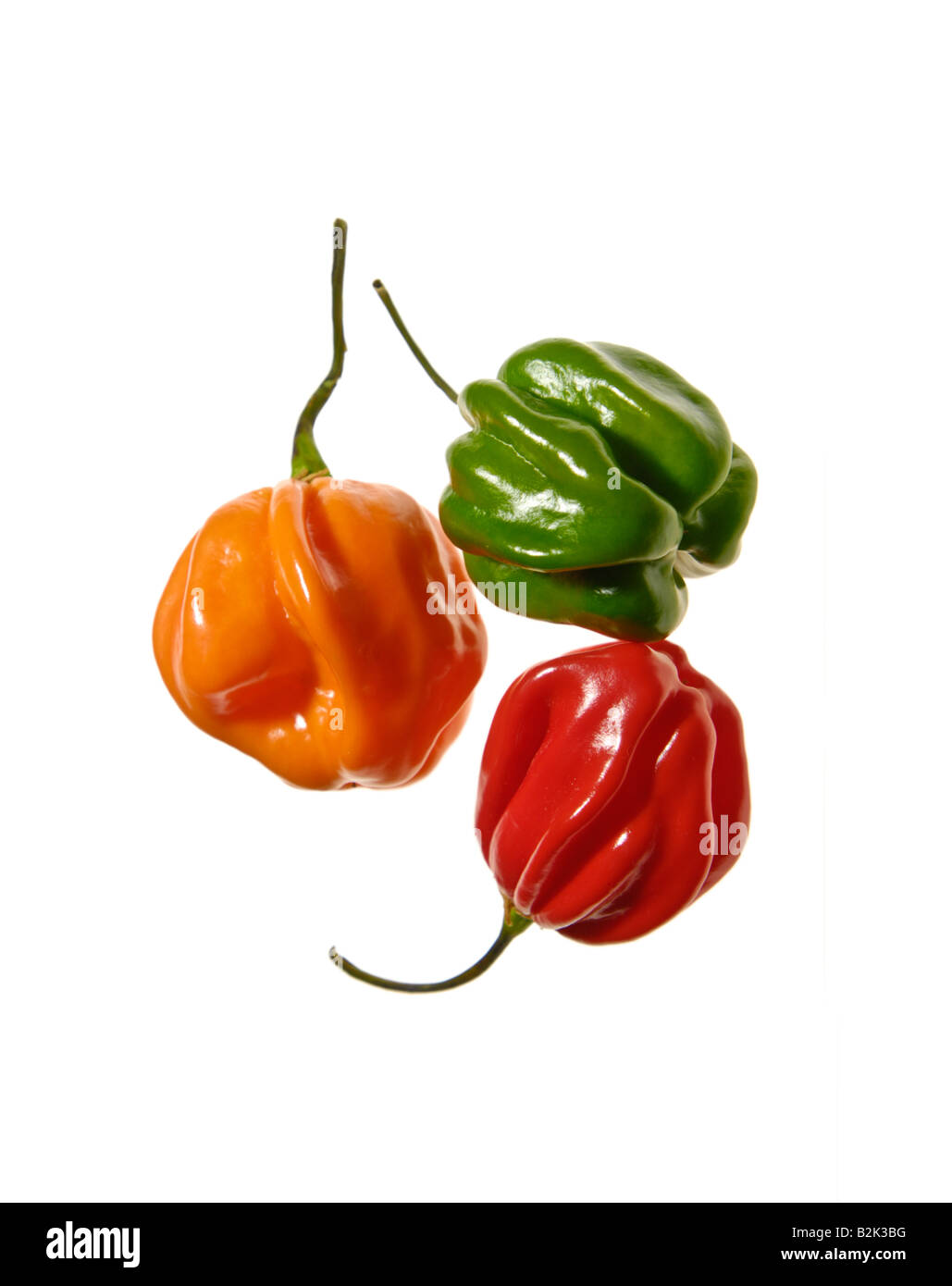 Capsicum chinense sinense habaneros very hot hottest PEPPERS fresh red green orange yellow pepper chilli chilly chili FOOD Stock Photo