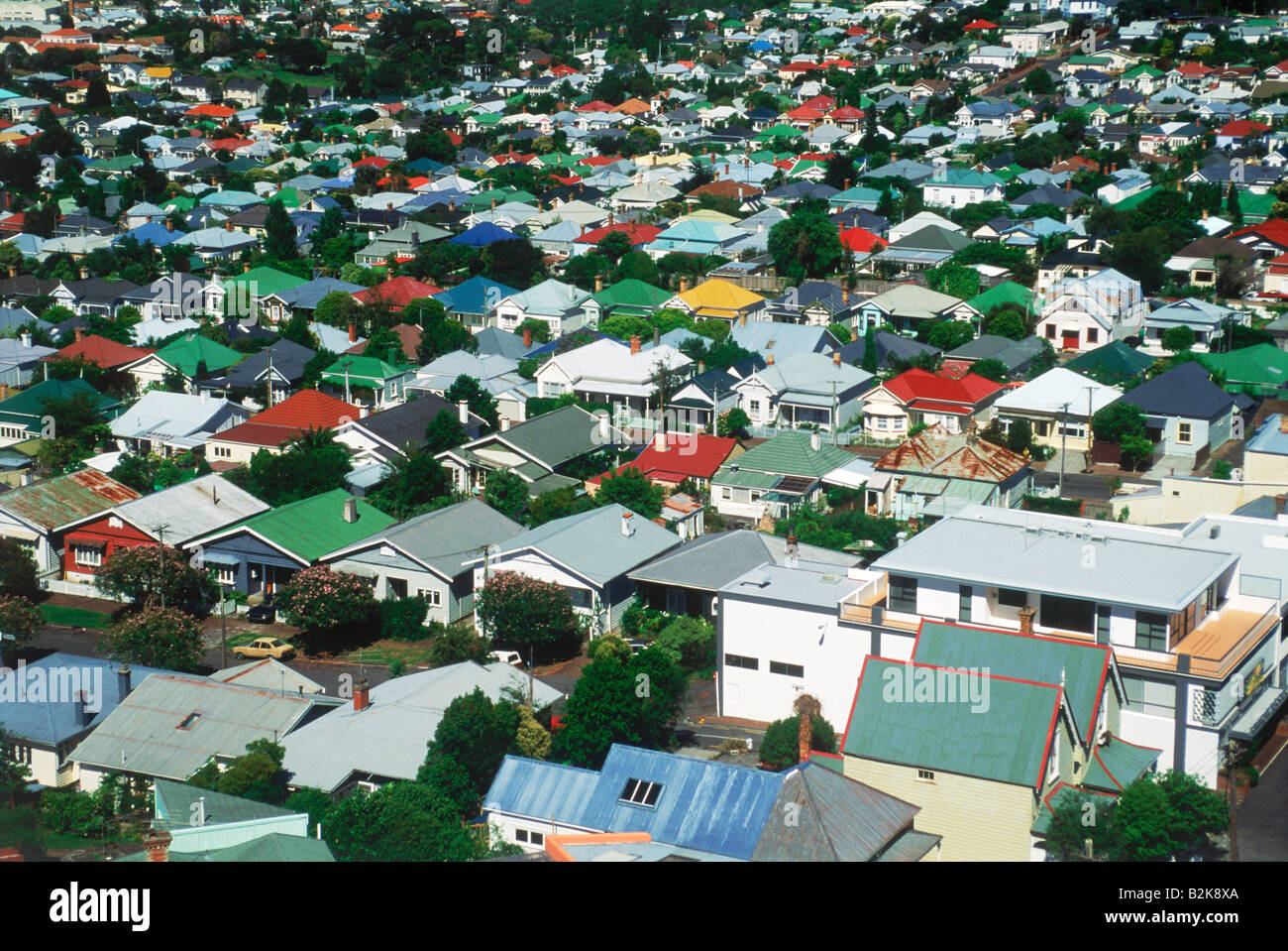 Aerial of middle class housing track homes in Ponsonby suburbs of Auckland Stock Photo